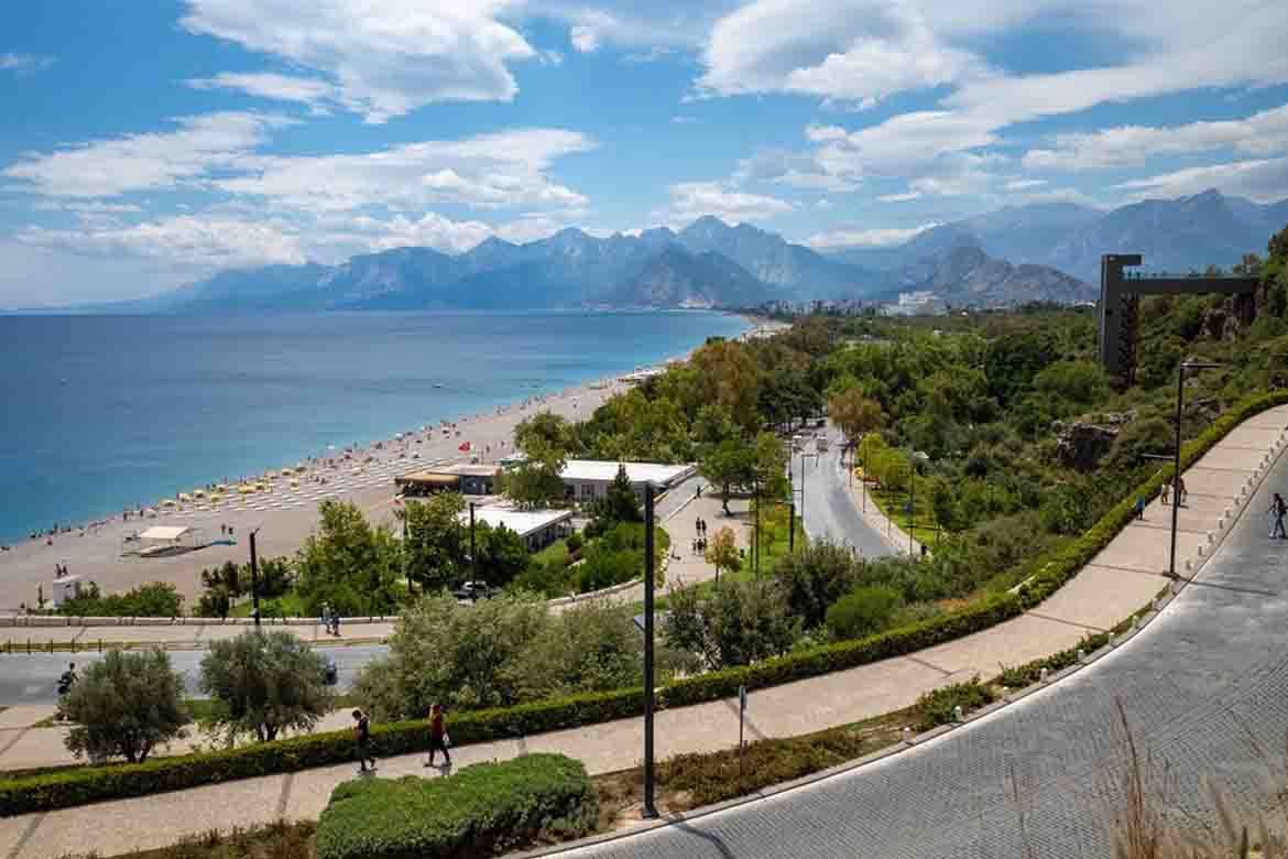 What Makes It a Top Choice?